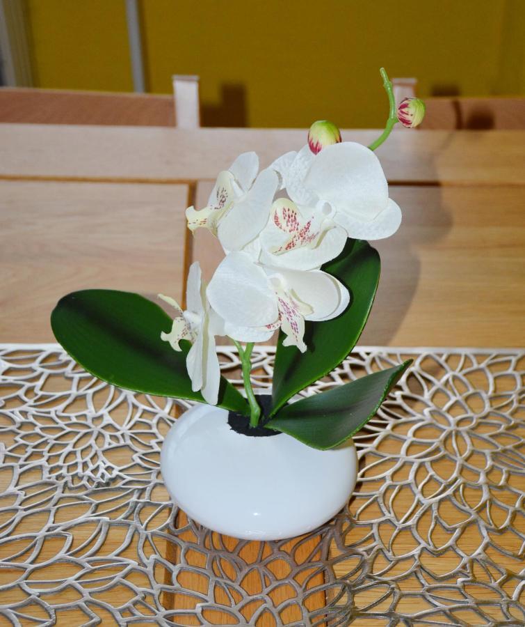 Apartman Zuzka 벨카 롬니차 외부 사진